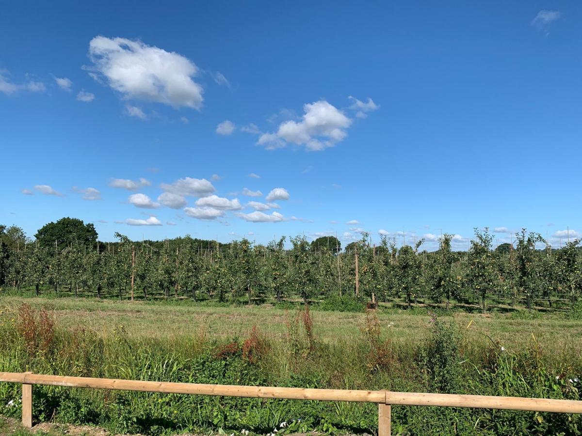 Blackberry Cottage Sutton Valence Екстер'єр фото